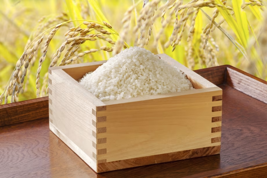 近江米（イメージ）