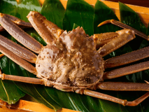 【富山　旬の味覚】富山湾の高級カニ「本ズワイガニ」をフルコースで堪能！数量限定「活本ズワイガニ膳」