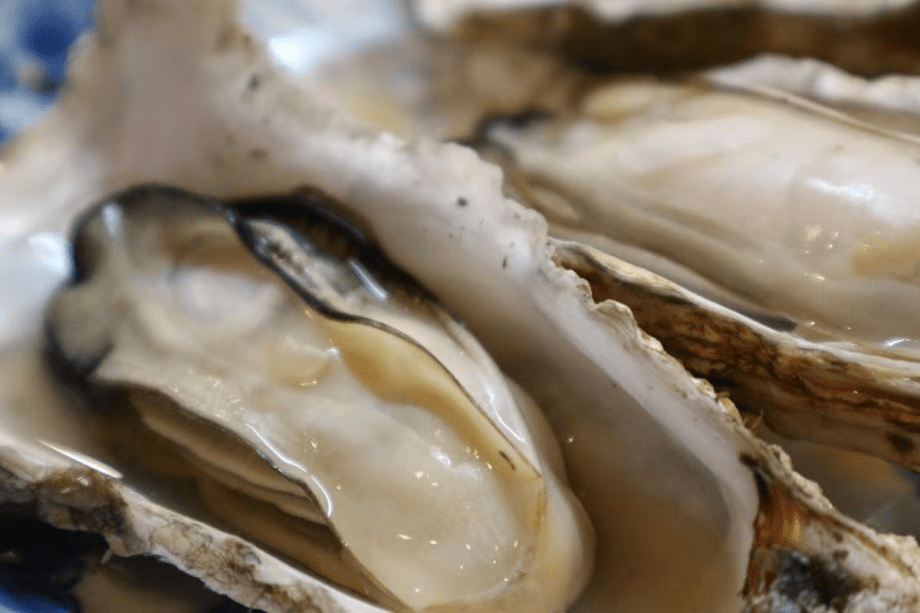 【かに牡蠣コース】&rdquo;グルメ旅&rdquo; 厳選ズワイガニ &times; 蒸し牡蠣｜個室お食事処｜全客室オーシャンビュー