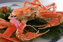 贅沢蟹づくし【満腹カニフルコース】山陰産　漁港タグ付き　ゆで松葉蟹１杯付き！