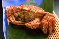 【旬のトゲクリガニ付き】 あおもり冬のごちそう旅オリジナルビュッフェプラン～オールインクルーシブ～