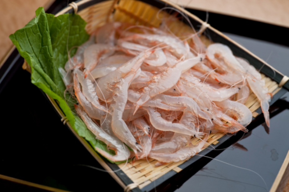 【夕食17:30】夏の特選会席