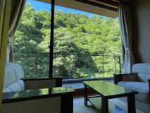 【ホテルおがわスタンダード和室　12.5帖和室】リーズナブルなお部屋ですが、他のお部屋タイプと同じ景色で小川と渓谷を臨めます。