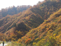【見ごろは10月中旬～11月中旬】ホテルおがわ周辺は、モザイク柄に染まった山々の絶景を堪能できます