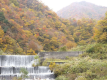 【見ごろは10月中旬～11月中旬】蓮華の湯から眼前にそびえる山々を眺めながらの湯浴みに魅了されます