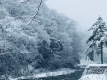 【見ごろは12月中旬～3月中旬】晴れた日は雪をかぶった木々がキラキラと輝いてまぶしいぐらいです