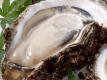【旬の味覚】夏の美味　富山湾の岩ガキ　濃厚でクリーミーな味わいを楽しめる季節限定の特別膳