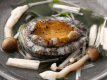 鮑の陶板蒸し（通常2,200円が無料）