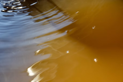 【킨센・긴센】프리미엄 스위트 ‘산수유’ ― 최상층 특별 플로어 ―【75㎡】 【킨센・긴센】프리미엄 스위트 ‘산수유’ ― 최상층 특별 플로어 ―【75㎡】