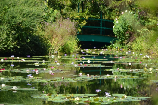 【絵画の世界を体感・モネの庭入園チケット付プラン】まるで絵画の世界に浸るような雰囲気を味わえます。