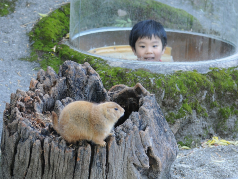 【のいち動物公園】お日にち限定で動物たちとこんなに近くで触れ合えちゃう！