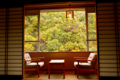 【和室１０畳＋４．５畳次の間付き】窓からは紅葉が望めます