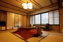 【なでしこ】冬のなでしこの間