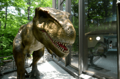 クアウスの外にも恐竜が