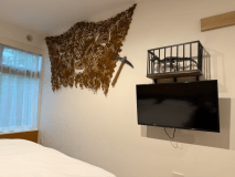 新館洋室（化石ルーム）