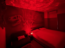 新館洋室（化石ルーム）