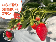 【 いちご狩り 】あま～い とちおとめ30分食べ放題！　一泊二食付きプラン