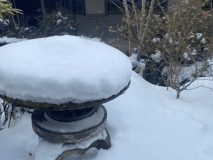 【お子様2名様まで無料】冬休み限定☆お得なファミリープラン