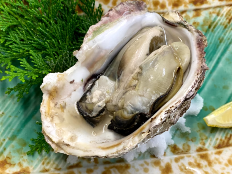 【夏】～おすすめ～丹後産ブランド「岩牡蠣」✕「旬魚の豪華７種舟盛」付き会席プラン ＜部屋食＞