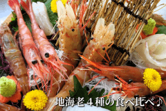 【秋】地海老のお造り4種食べ比べ♪松茸のすき焼き&活鮑の踊り焼きも! <地海老会席コース> 【秋】地海老のお造り4種食べ比べ♪松茸のすき焼き&活鮑の踊り焼きも! <地海老会席コース>
