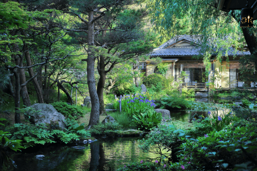 【離れ環翠荘】水芭蕉や睡蓮など水辺の植物が水面に映りまるで絵画のような風景です。