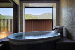 展望半露天風呂付和洋室「はごろも」