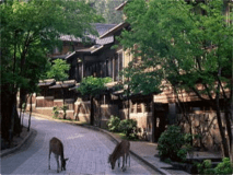 "Shinkan" Annex Standard Room (Bed ONLY / NO meals included)