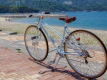 2020年五輪自転車競技は伊豆で開催されました。サイクリストに優しい伊豆半島。