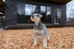 E Type　別棟＋リビング＋ベッドルーム＋シャワー・ドッグラン付き