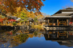「&rdquo;秋&rdquo;のスタンダードプラン」　9月～11月中旬　【こだわりの贅食】+【源泉掛け流しの温泉】を堪能+【夕食時ドリンク無料】