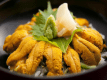 プラン限定：選べる食事
【生雲丹丼】
ご飯が隠れるくらいにたっぷりと乗った「雲丹」。

【雲丹の炊き込みご飯】
「雲丹」の旨味を凝縮したダシで炊いた贅沢ごはん。
