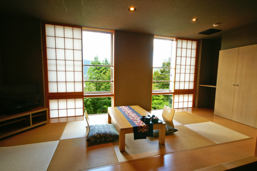 201号室：小上がりの畳敷き部分が大きくとられているお部屋です。