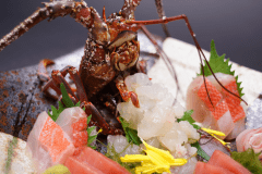 ど新鮮！活伊勢海老のお造り。ぷりぷりの食感が美味しい一品！