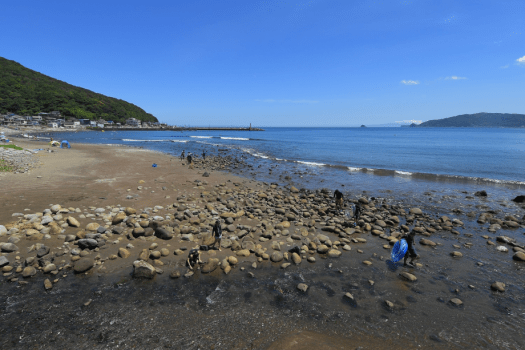 宇佐美海水浴場