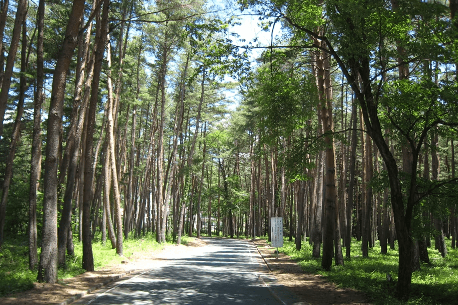 【八ヶ岳ホテル風か】 &ldquo;お宿ねっと&rdquo;の『まるごとRVステイ』｜星空と清風に包まれる、くつろぎ高原時間。東京方面からは約2時間半、京都方面からは約5時間。