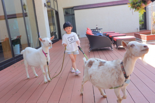 【イチゴ狩り＋しいたけ狩りのＷ自然体験】フレンチWメイン＜香＞とオールインクルーシブ