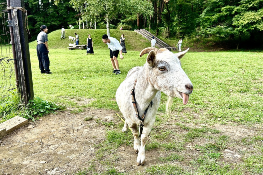 【八ヶ岳エナジーファームのイチゴ狩り体験付】フレンチWメイン＜香＞とオールインクルーシブ