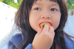 【八ヶ岳エナジーファームのイチゴ狩り体験付】フレンチWメイン＜香＞とオールインクルーシブ