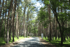 【八ヶ岳ホテル風か】 &ldquo;お宿ねっと&rdquo;の『まるごとRVステイ』｜星空と清風に包まれる、くつろぎ高原時間。東京方面からは約2時間半、京都方面からは約5時間。