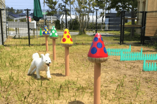 【ちりはまホテルゆ華】 &ldquo;お宿ねっと&rdquo;の『まるごとRVステイ』｜愛車と愛犬と楽しむ自由な旅を