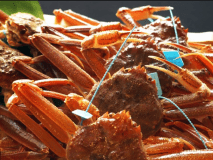 ぎっしりと身が詰まった冬の贅沢【タグ付き加能蟹】♪この時期限定の美味を召し上がれ