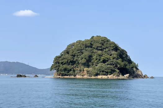 【オーシャンリゾートホテル&スパ うみんぴあ】蒼島|島まるごとが国の天然記念物! 【オーシャンリゾートホテル&スパ うみんぴあ】蒼島|島まるごとが国の天然記念物!