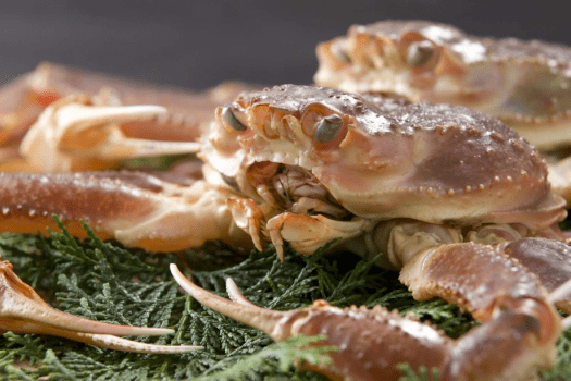 【カニ食べ尽くし】活ガニ3〜20杯選べる破格プラン（1泊2食）