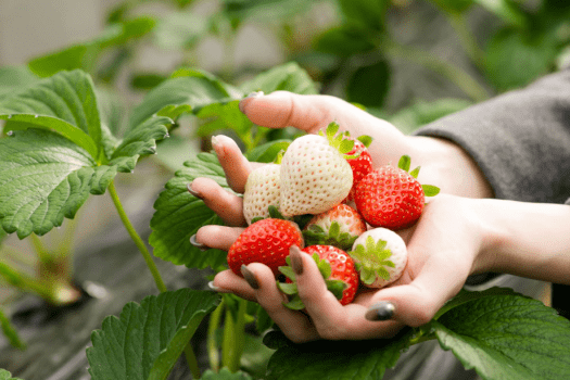 【冬あそび6種無料】親子で楽しむアクティブステイ（体験付き）