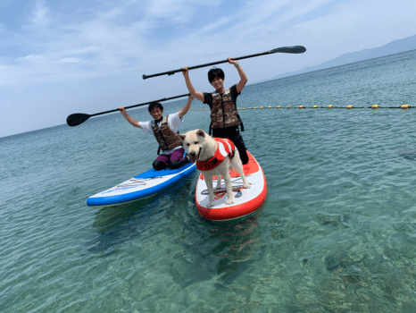 〈5月13日~7月17日までの期間限定！！ウミアソビ2026天橋立キャンペーン〉6つのアクティビティが無料で体験できる期間限定プラン～MARINETOPIA THE SUITE～