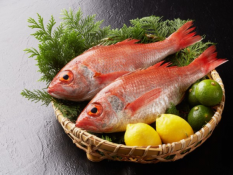 高級魚として名高い『のどぐろ』