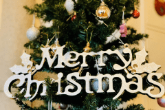 クリスマスプラン