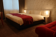 ハリウッドツインプラス