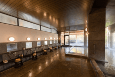 美肌の湯として女性に人気の泉質です。