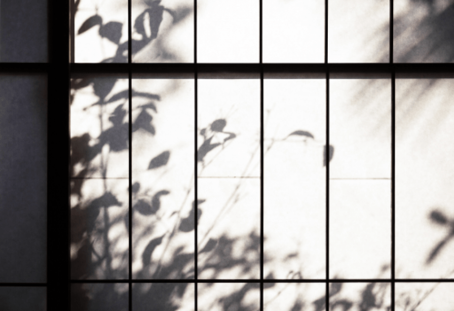 「望」１Fの和室には日当たりが良いため幻想的な木々の影が映し出されます。